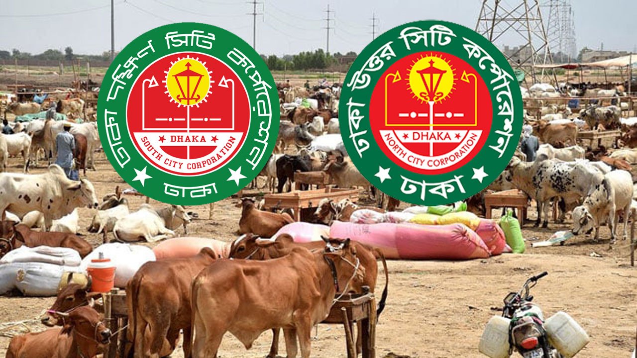 ঢাকার দুই সিটিতে বসছে ২১টি পশুর হাট