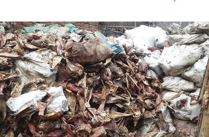 যশোরে পশুর হাড় ও শিং গুড়ো করে তৈরি করা হচ্ছে বিভিন্ন প্রসাধনীর কাঁচামাল