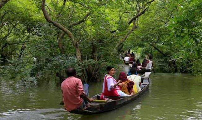 সিলেটের পর্যটন কেন্দ্র টাঙ্গুগুয়ার হাওয়ারে জীববৈচিত্র্য হুমকির মুখে