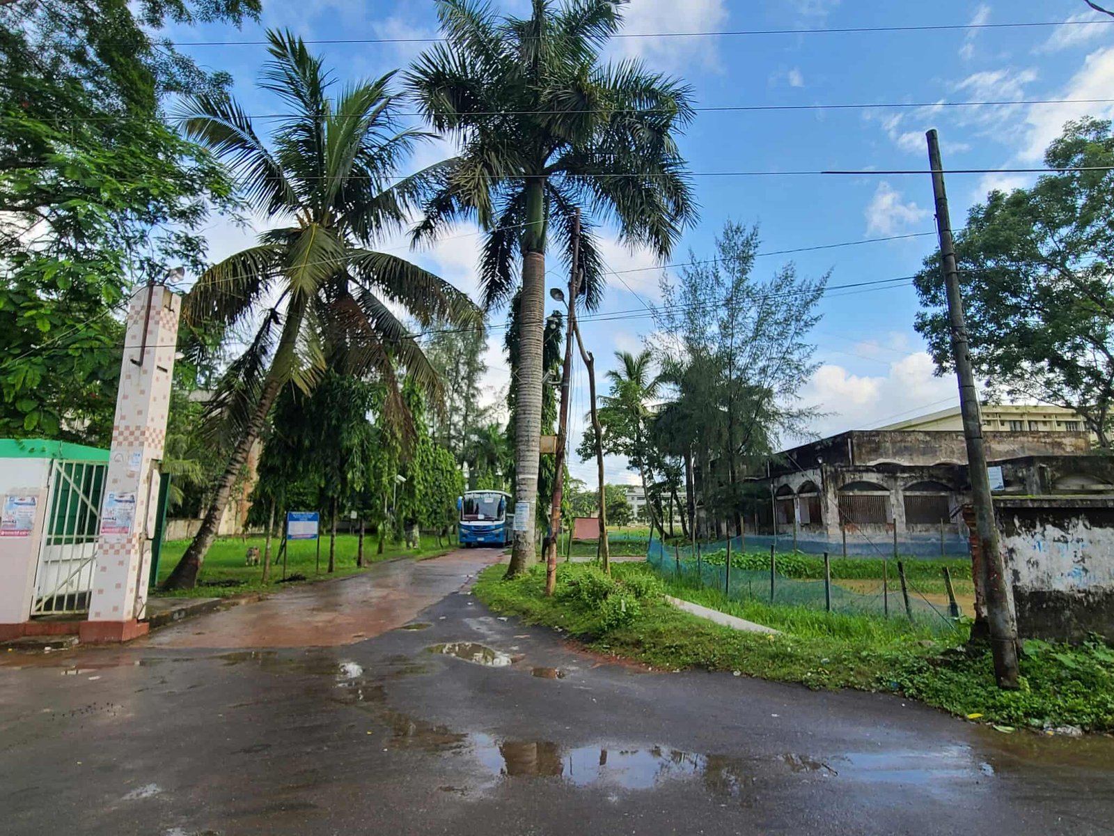 নিরাপত্তাহীন পবিপ্রবি বরিশাল ক্যাম্পাস: নেই মেইন গেট, উদ্বিগ্ন শিক্ষার্থীরা