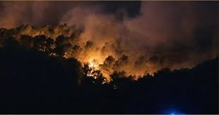 “দাবানলের আতঙ্কে ইউরোপ: স্পেন, ফ্রান্স ও আরও চার দেশে ব্যাপক ক্ষয়ক্ষতি”