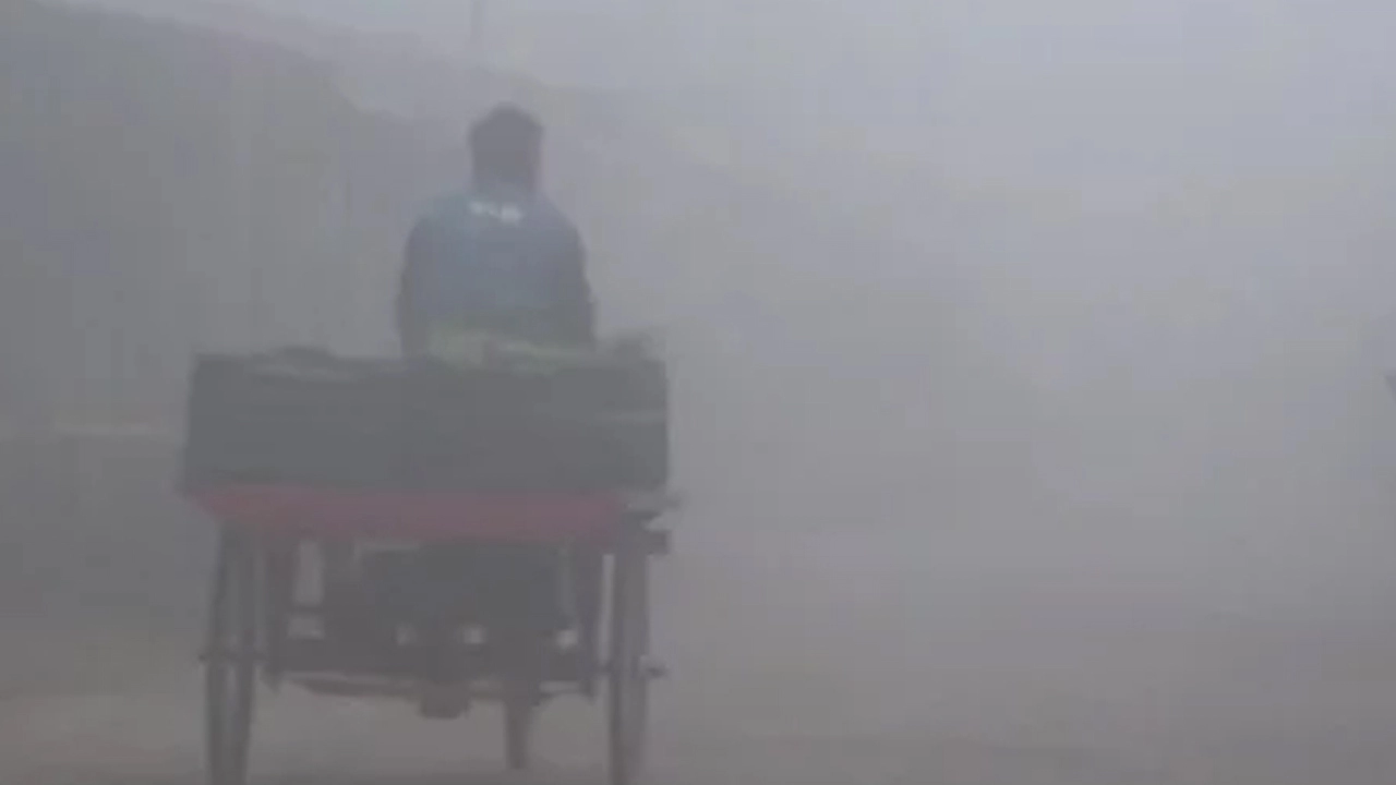 ঘন কুয়াশা ও হিমেল হাওয়ায় বিপর্যস্ত পটুয়াখালীর জনজীবন