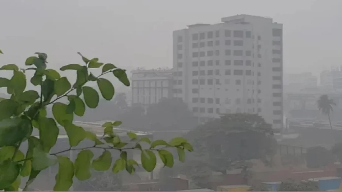 ঢাকায় কমছে না শীত, তাপমাত্রা ১২ ডিগ্রি