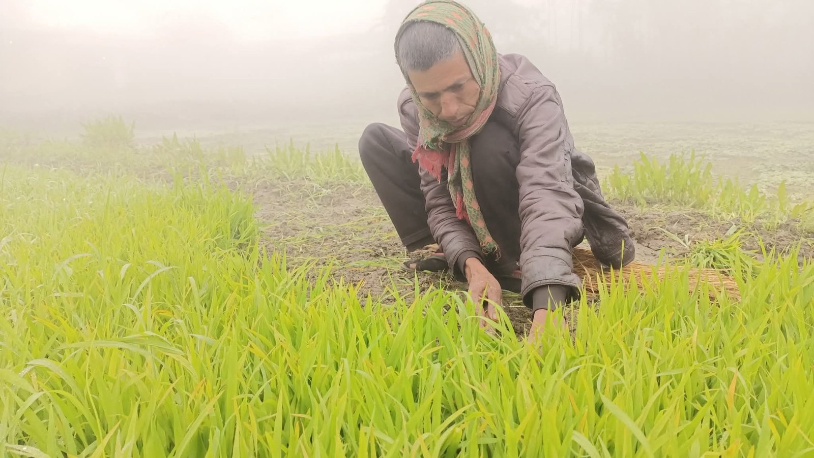 অব্যাহত শৈত্যপ্রবাহে বিপর্যস্ত উত্তরাঞ্চলের দরিদ্র মানুষ